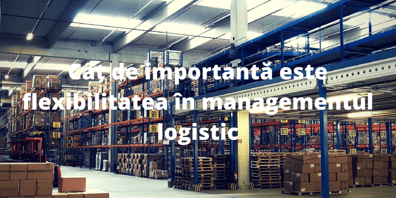 flexibilitate in managementul logistic