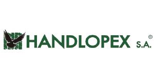 HAndlopex-ERP-Studiu-de-caz.png