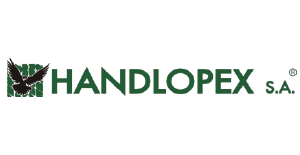 Handlopex ERP Case Study