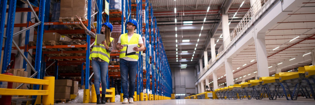 Webinar FluxVision WMS b